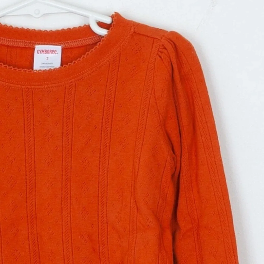 Gymboree‎ Girls Harvest Leaves Sweater Vest and Long Sleeve Shirt Size 3 Holiday